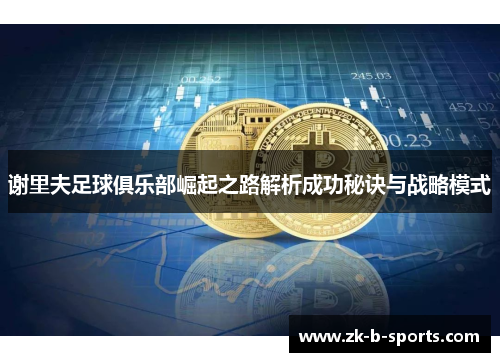 谢里夫足球俱乐部崛起之路解析成功秘诀与战略模式 谢里夫足球俱乐部崛起之路解析成功秘诀与战略模式