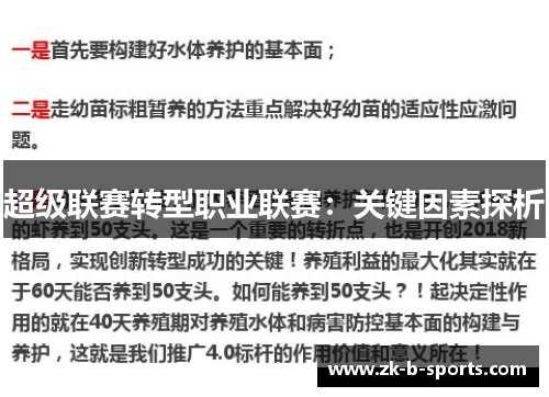 超级联赛转型职业联赛:关键因素探析 超级联赛转型职业联赛:关键因素探析