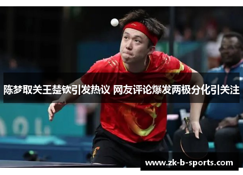 陈梦取关王楚钦引发热议 网友评论爆发两极分化引关注 陈梦取关王楚钦引发热议 网友评论爆发两极分化引关注