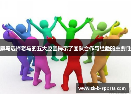 魔鸟选择老马的五大原因揭示了团队合作与经验的重要性